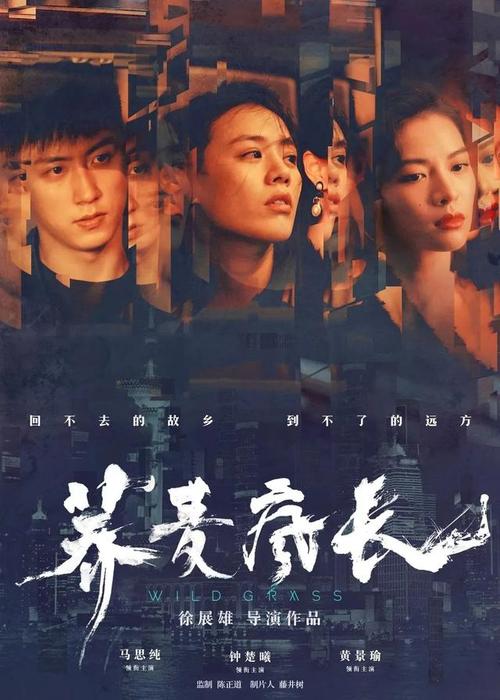 密德萨斯大学文凭毕业证样本照片